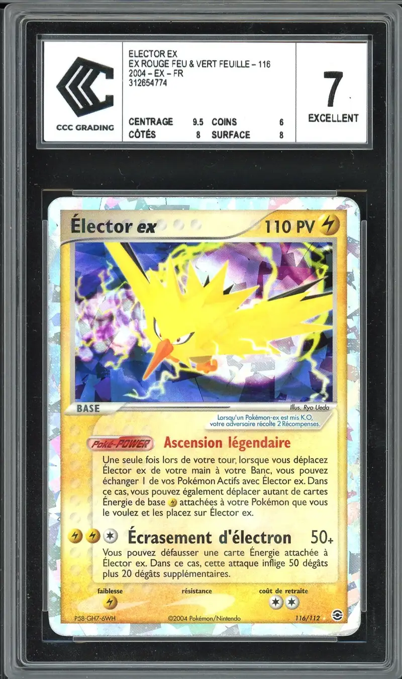CCC 7 Elector Ex