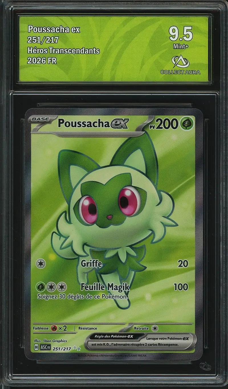 CA 9.5 Poussacha Ex