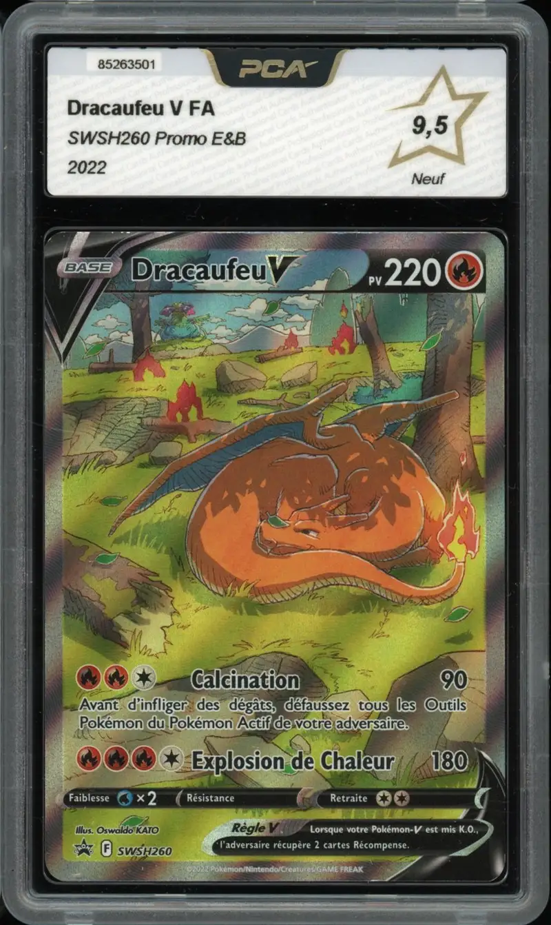 PCA 9.5 Dracaufeu V