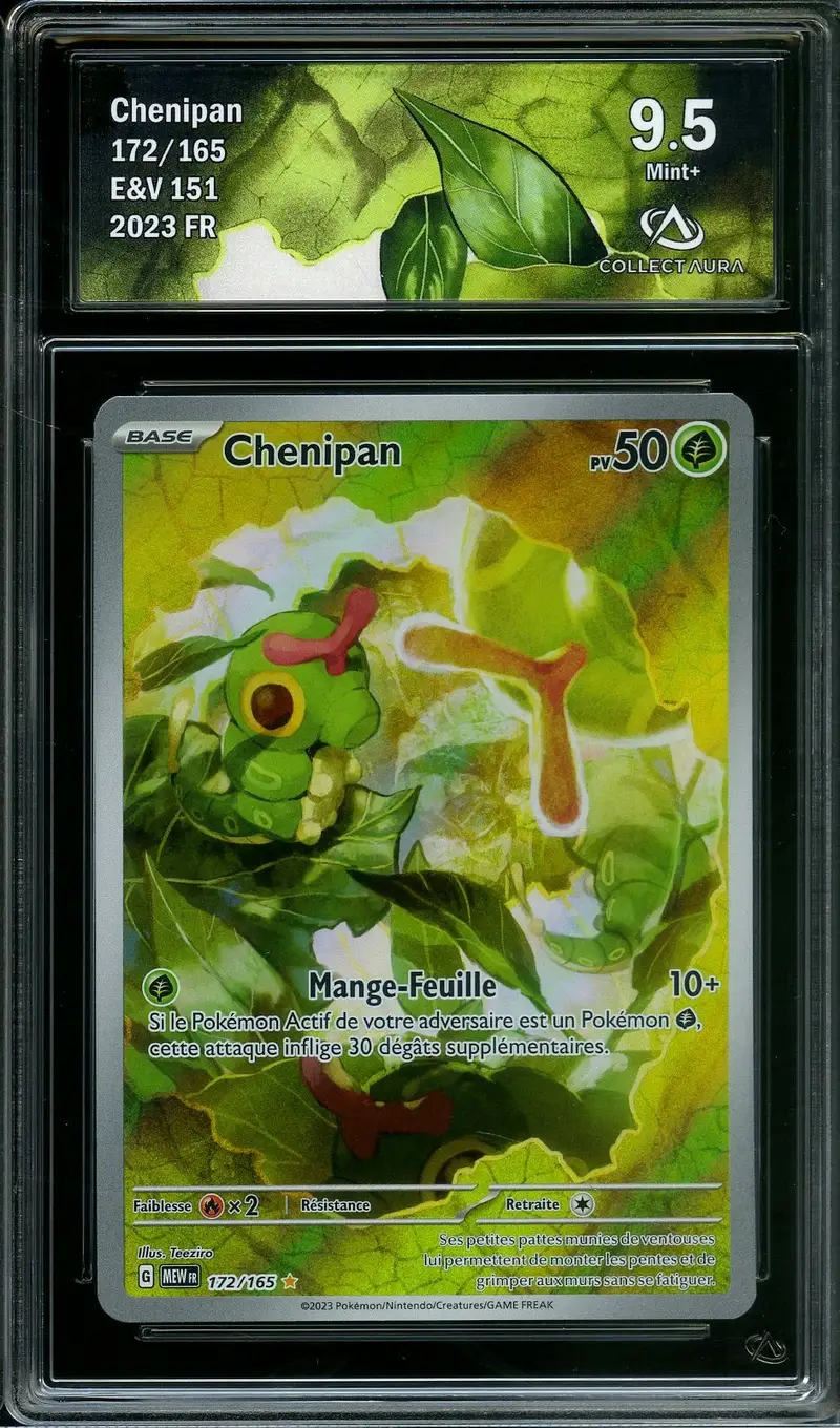 CA 9.5 Chenipan