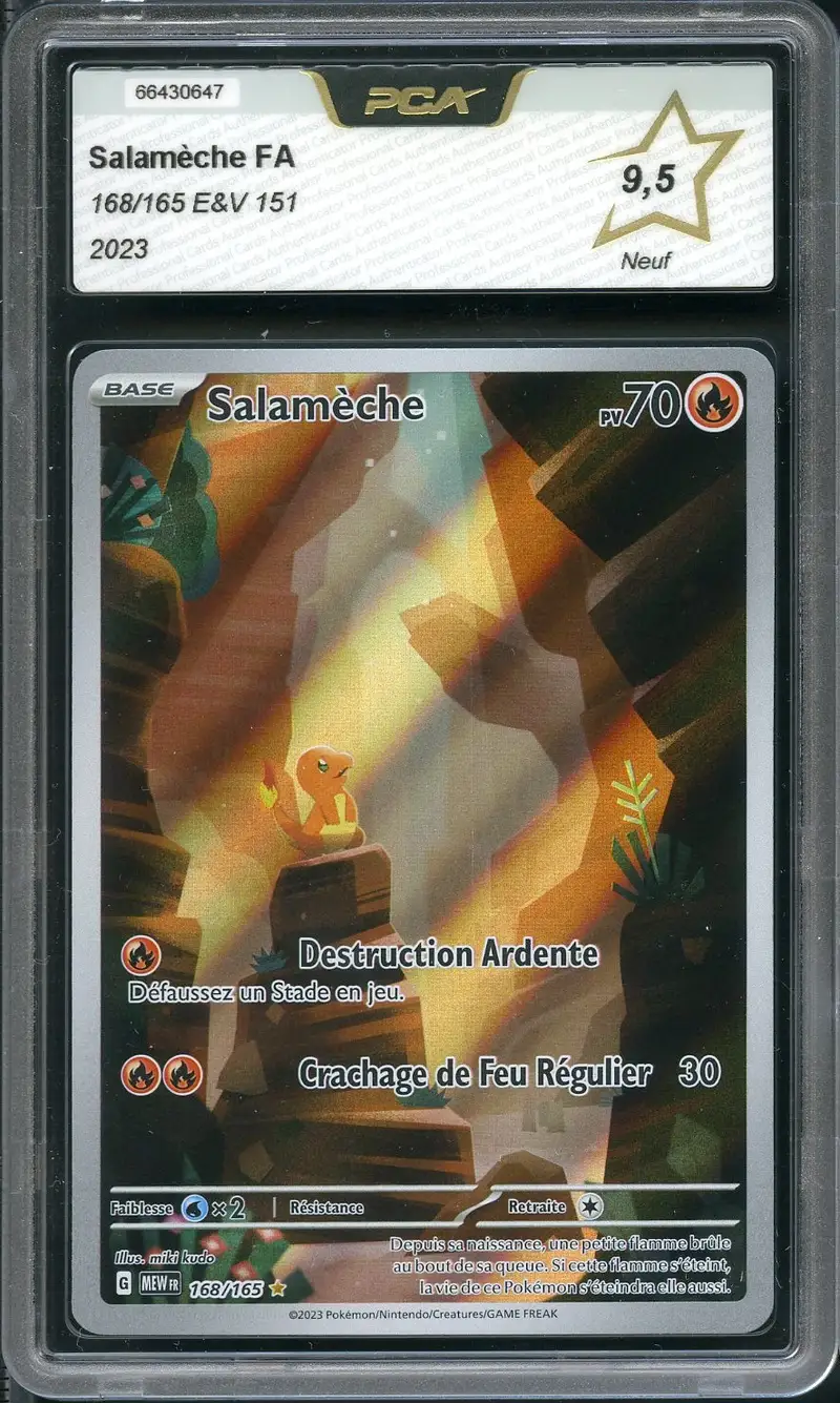 PCA 9.5 Salamèche