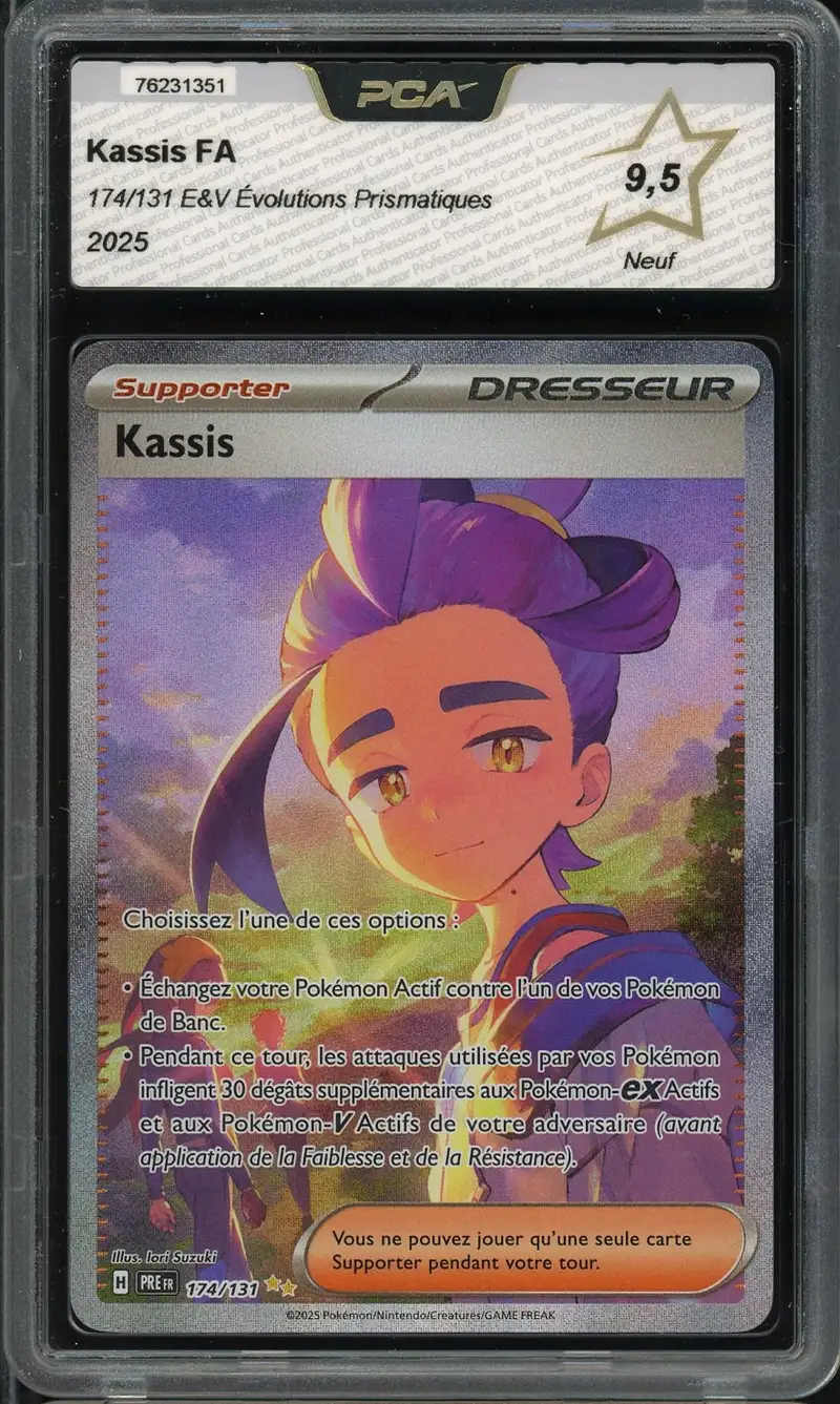 PCA 9.5 Kassis