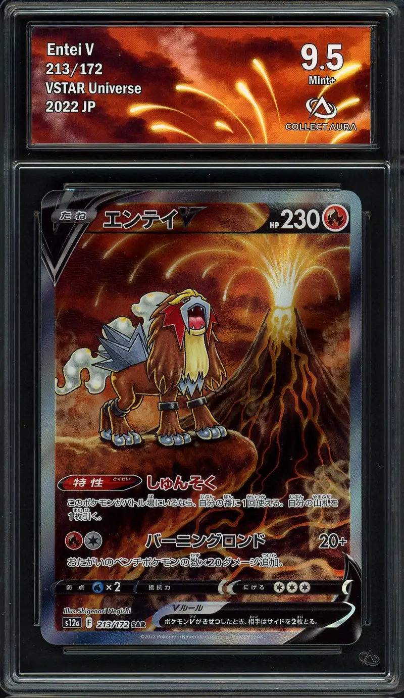 CA 9.5 Entei V