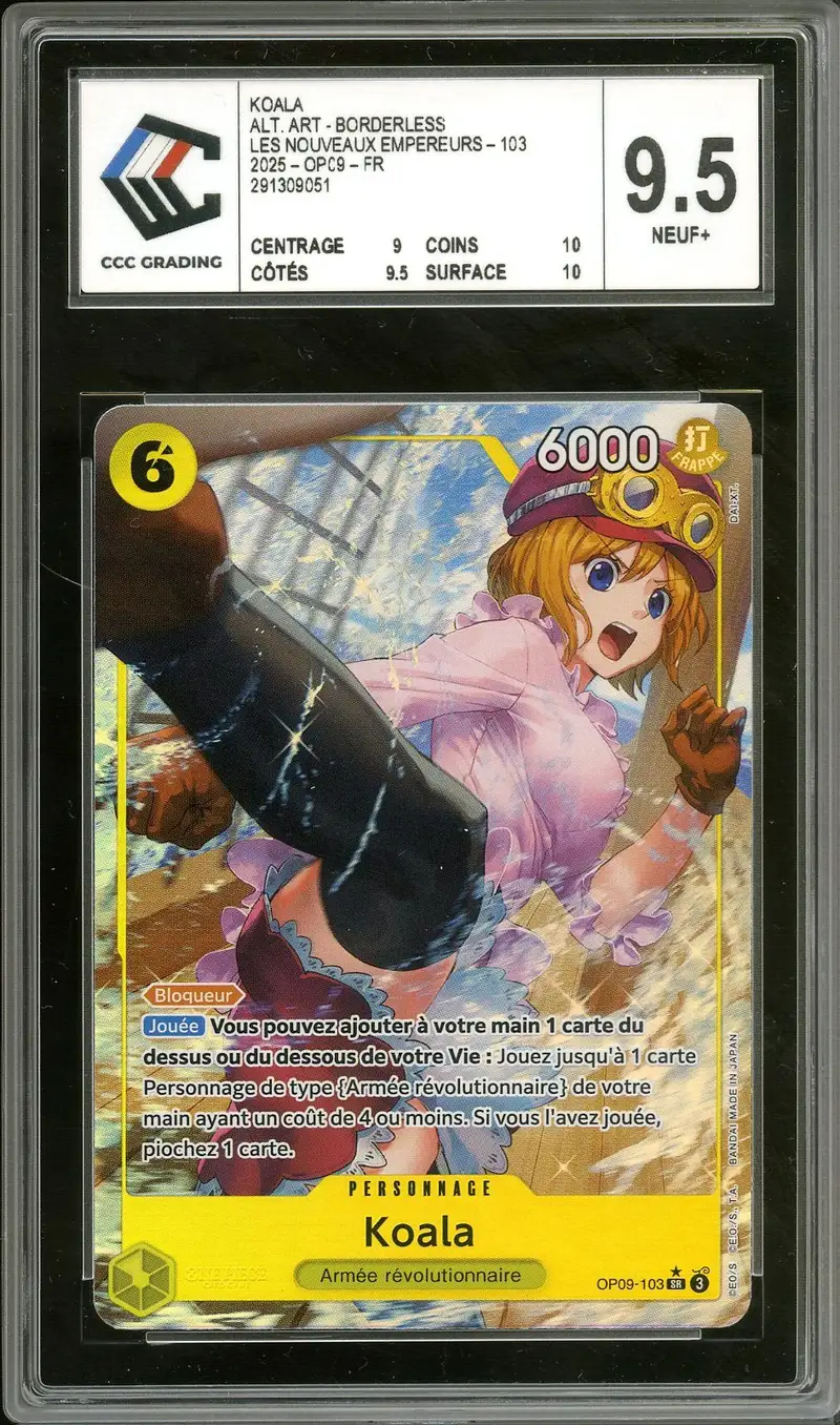 CCC 9.5 Koala