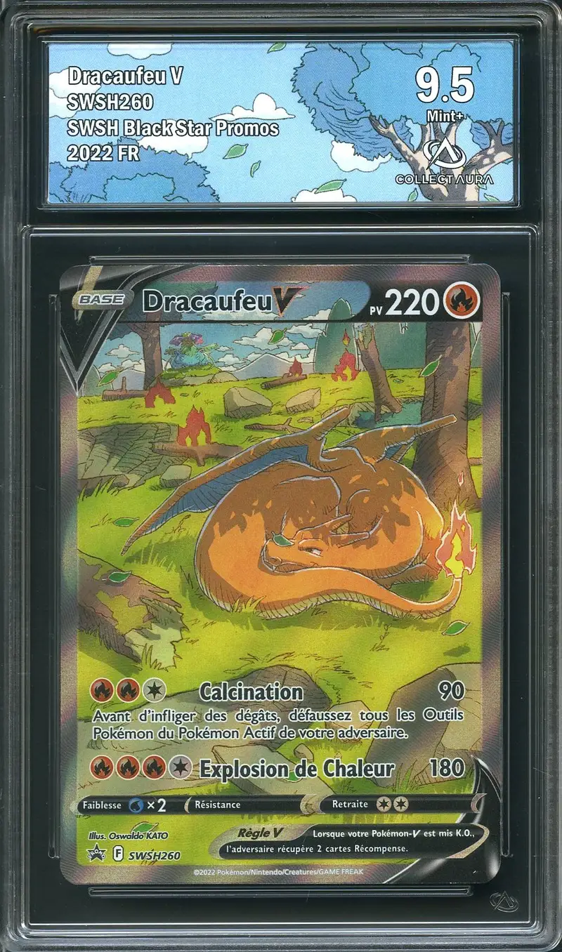 CA 9.5 Dracaufeu V