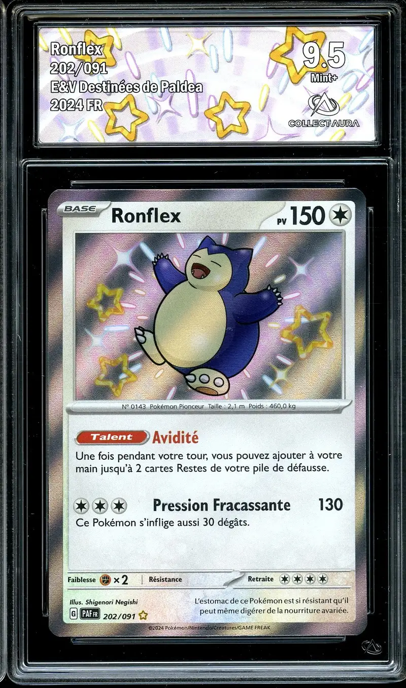 CA 9.5 Ronflex Shiny