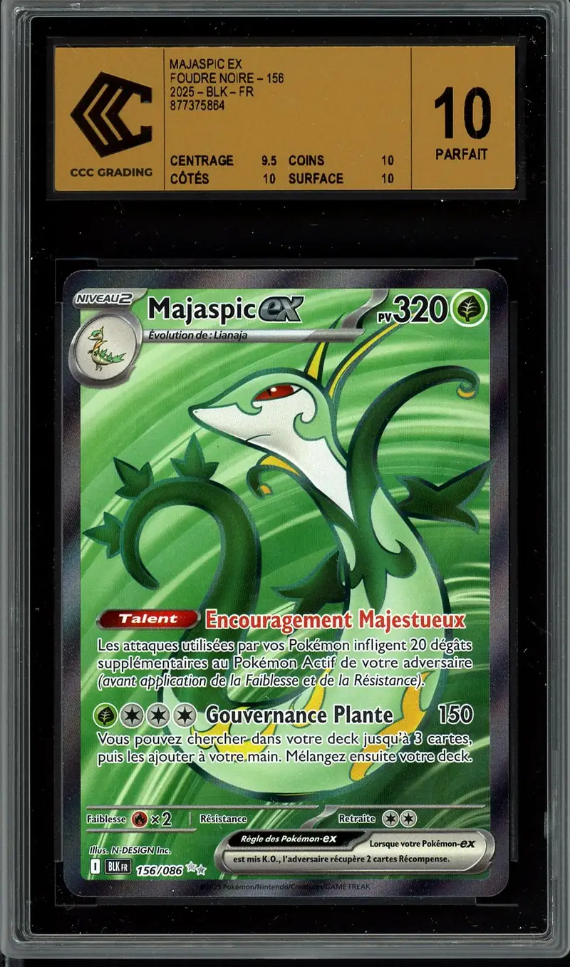 CCC 10 Majaspic Ex