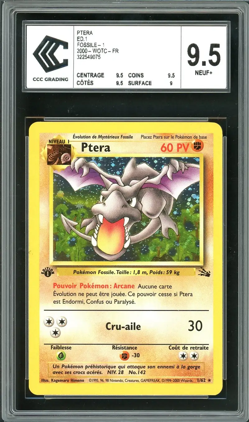 CCC 9.5 Ptera Holo