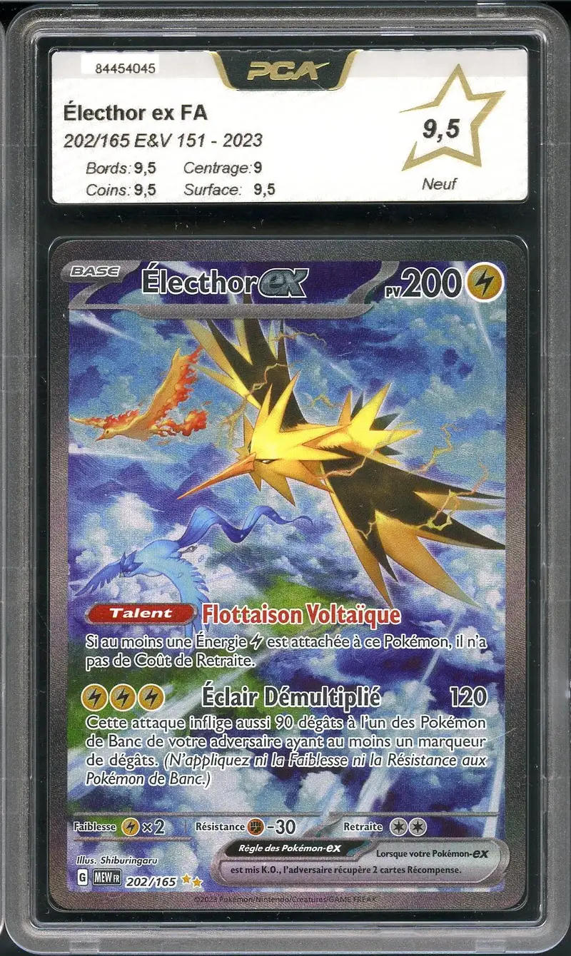 PCA 9.5 Electhor Ex