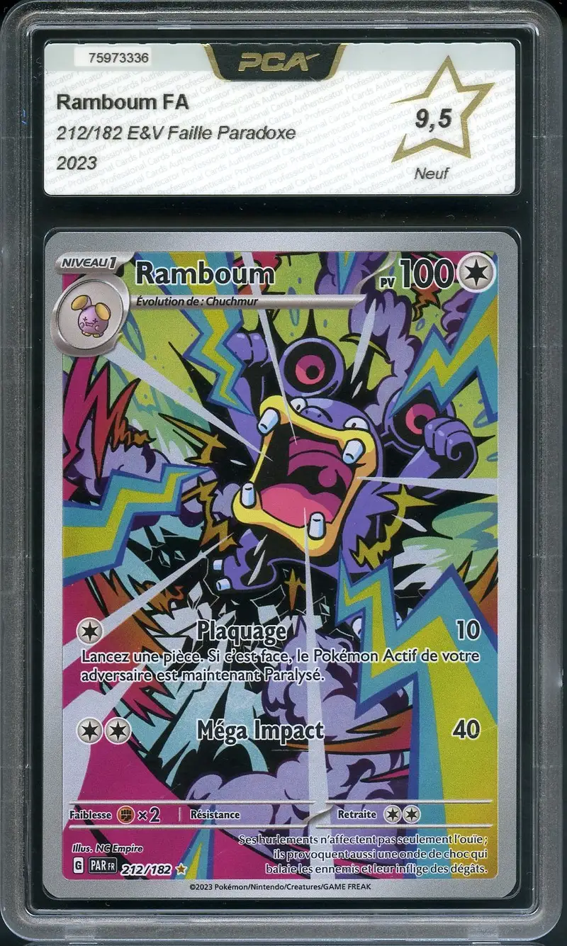 PCA 9.5 Ramboum