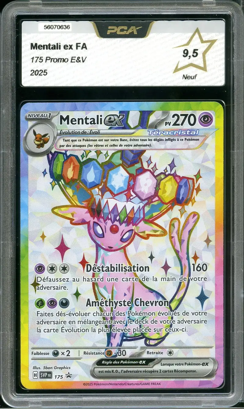 PCA 9.5 Mentali Ex