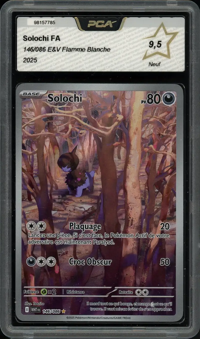PCA 9.5 Solochi