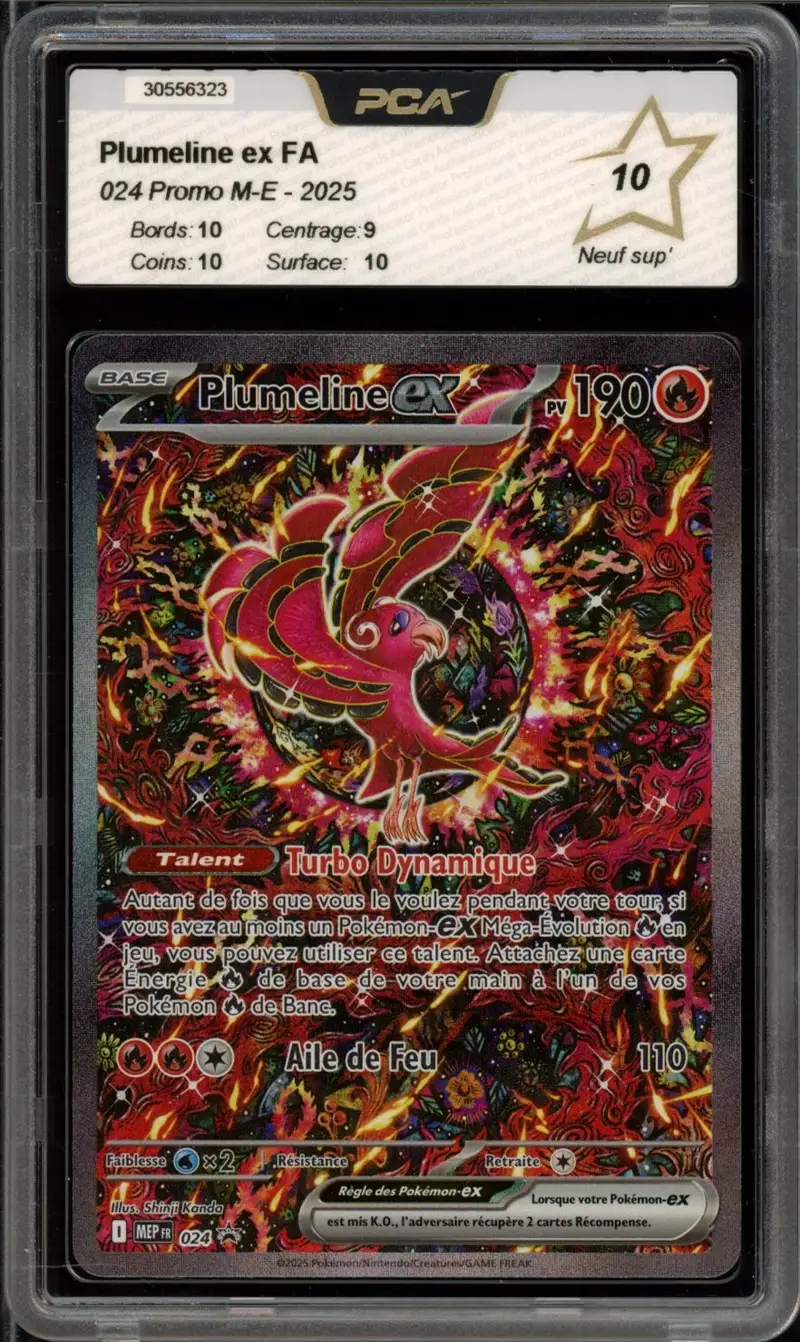 PCA 10 Plumeline Ex