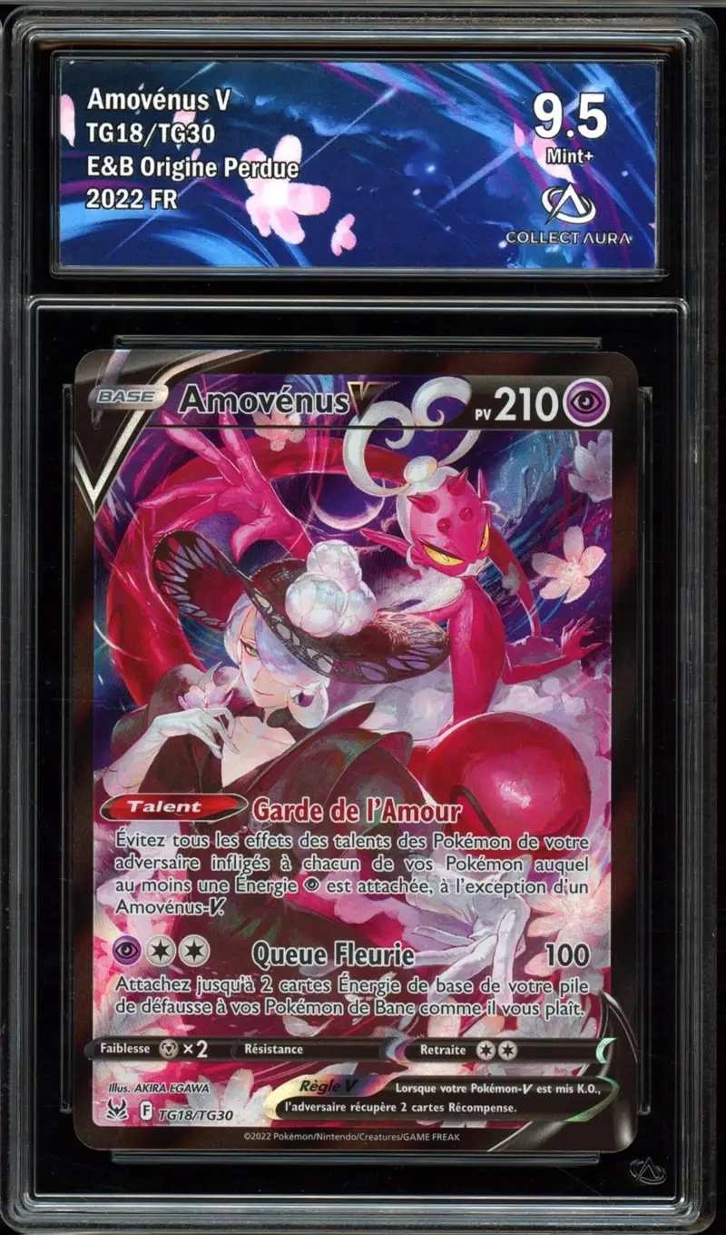 CA 9.5 Amovénus V