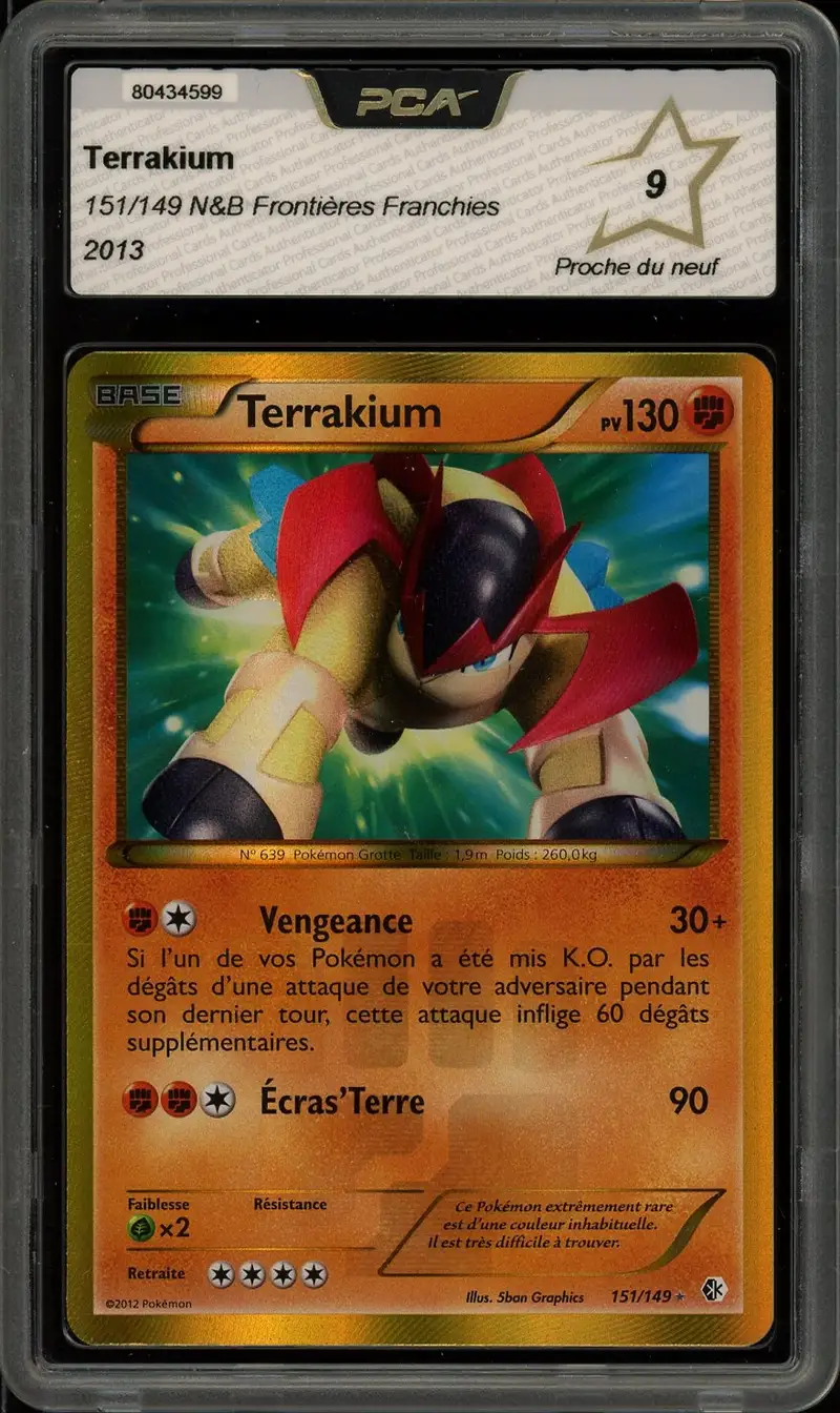 PCA 9 Terrakium Holo