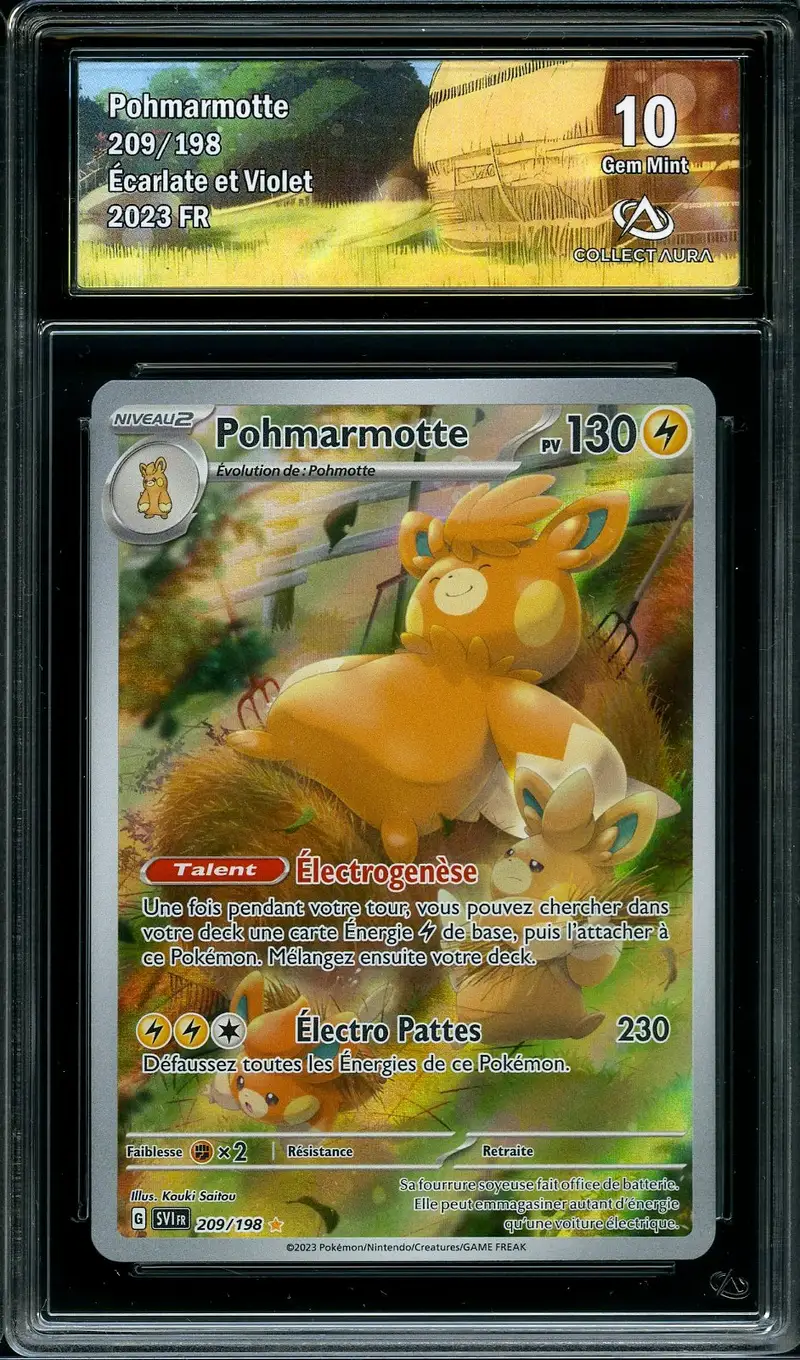 CA 10 Pohmarmotte