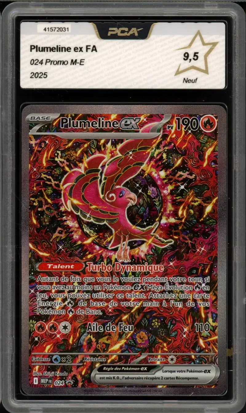 PCA 9.5 Plumeline Ex