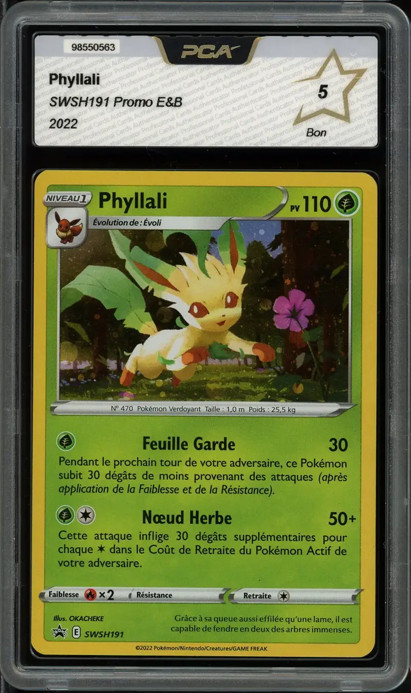 PCA 5 Phyllali Holo