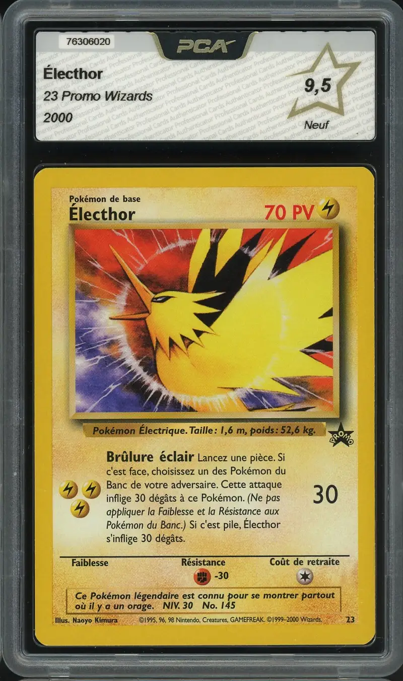 PCA 9.5 Electhor