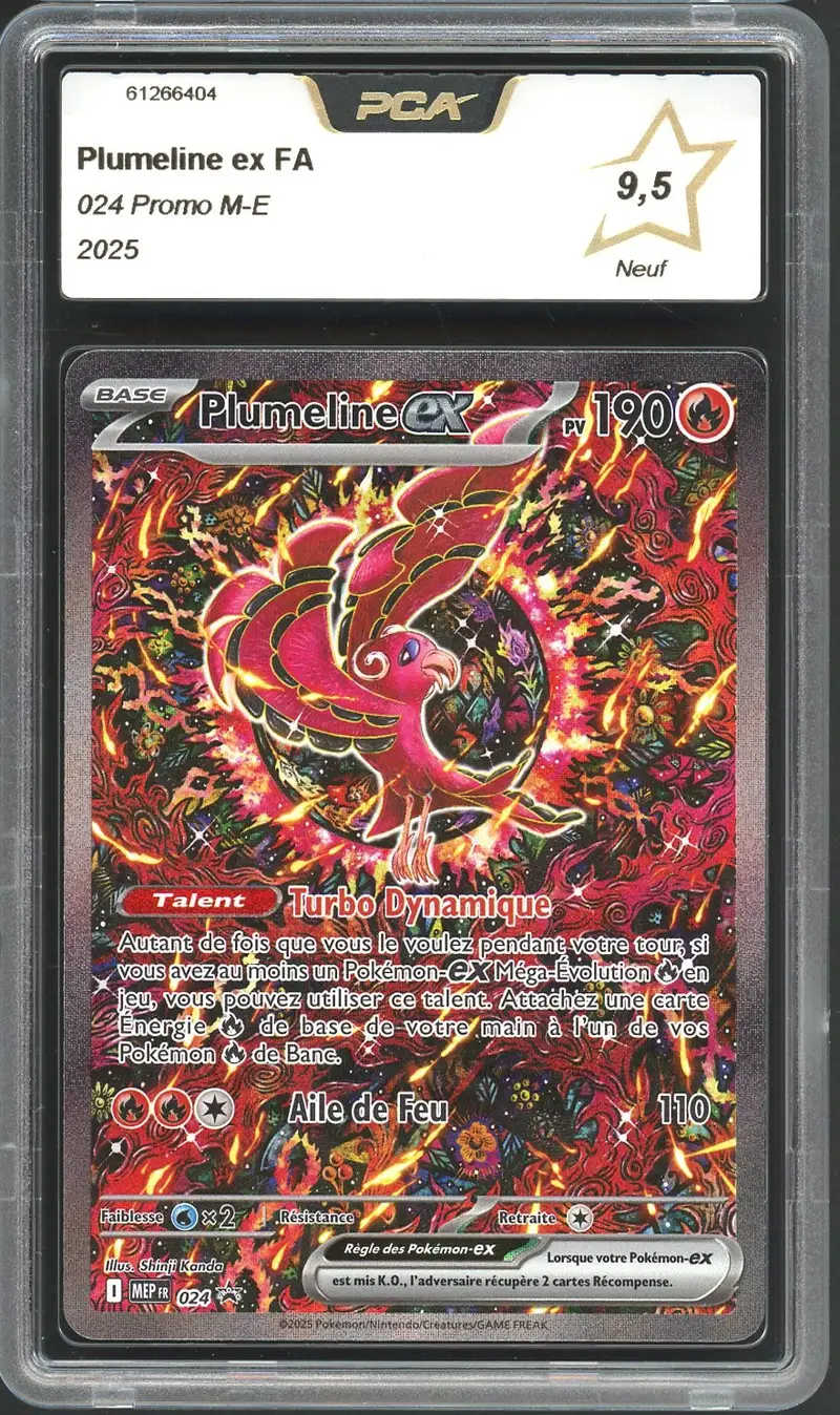 PCA 9.5 Plumeline Ex