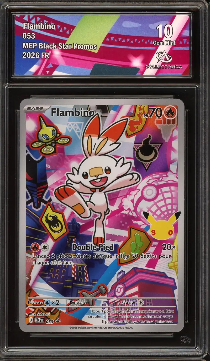 CA 10 Flambino