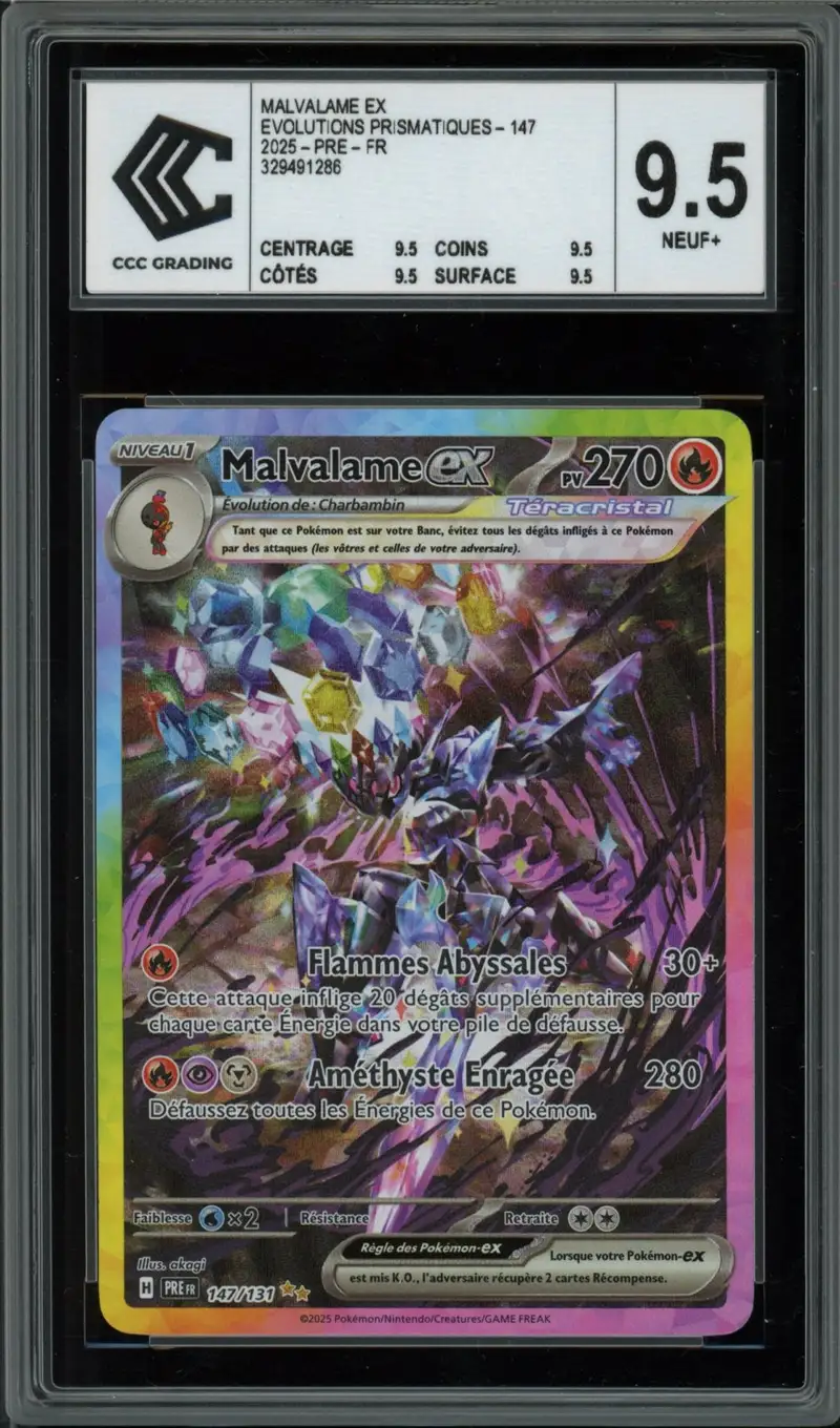 CCC 9.5 Malvalame Ex