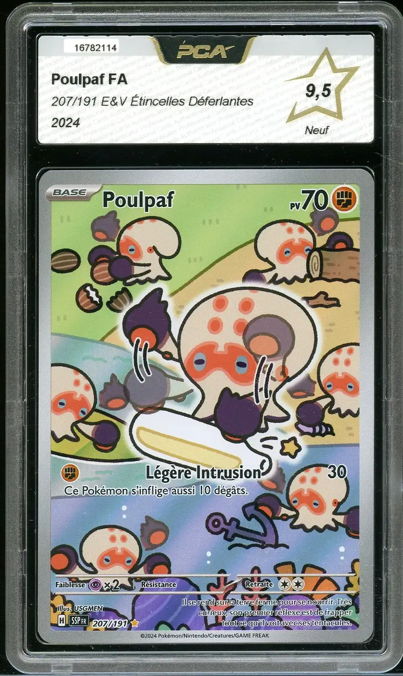 PCA 9.5 Poulpaf