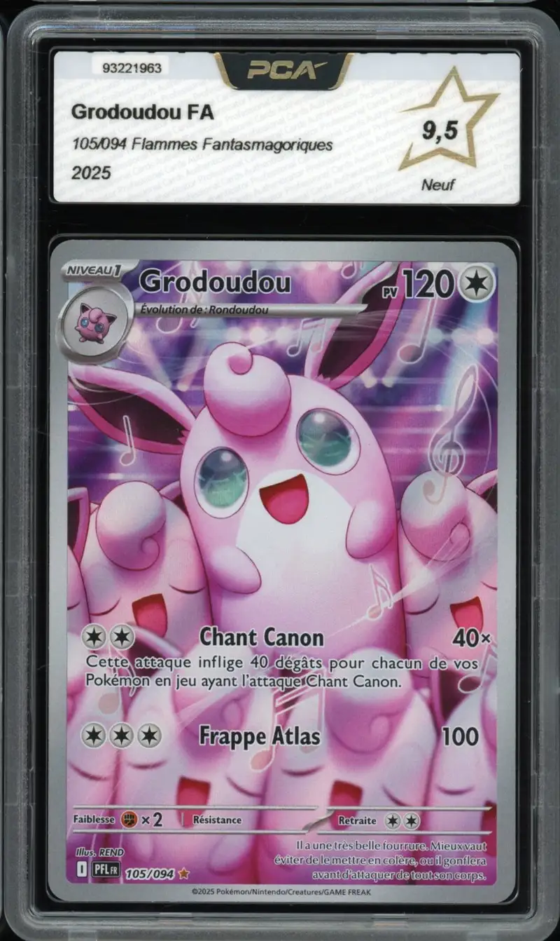 PCA 9.5 Grodoudou