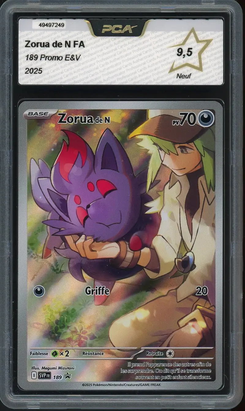PCA 9.5 Zorua de N