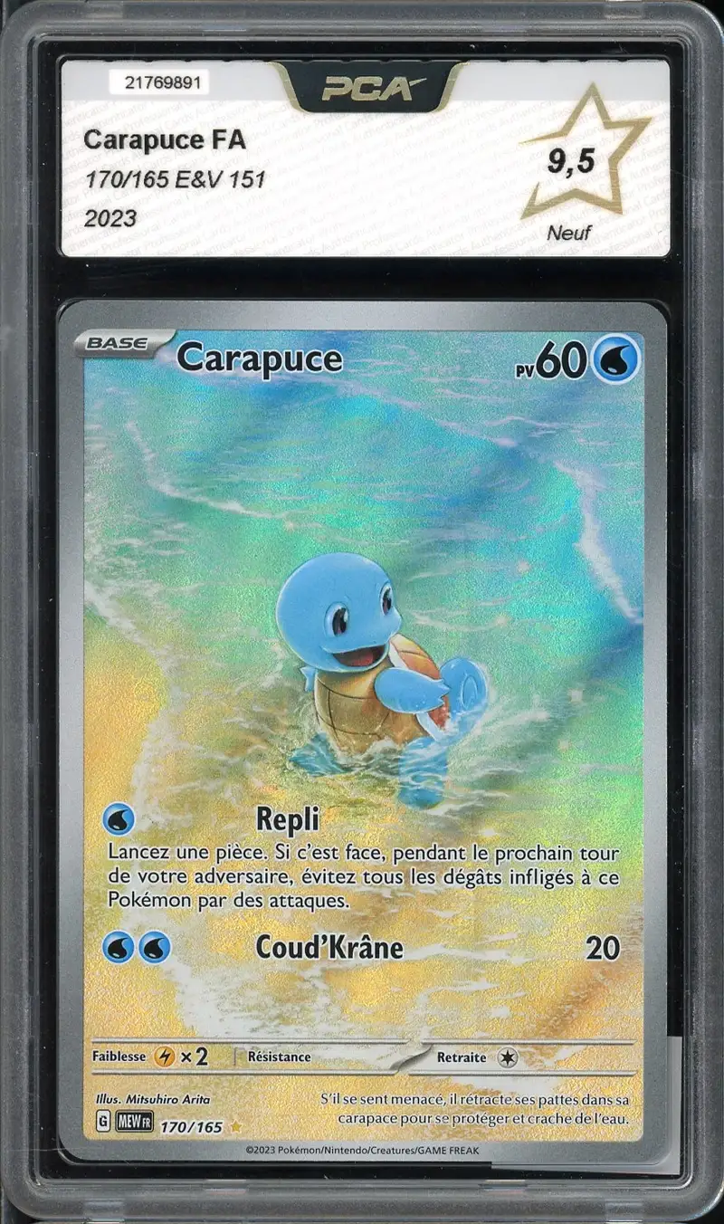 PCA 9.5 Carapuce