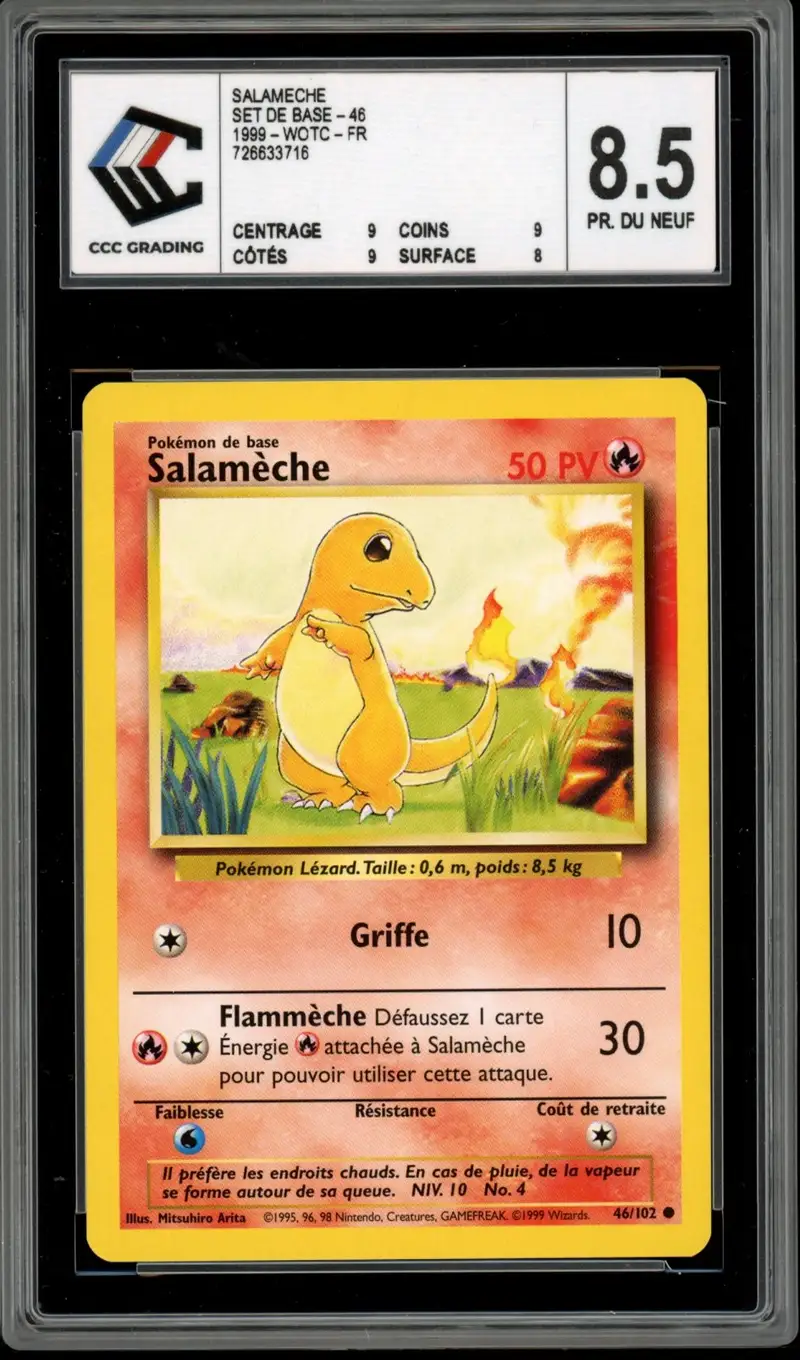 CCC 8.5 Salamèche