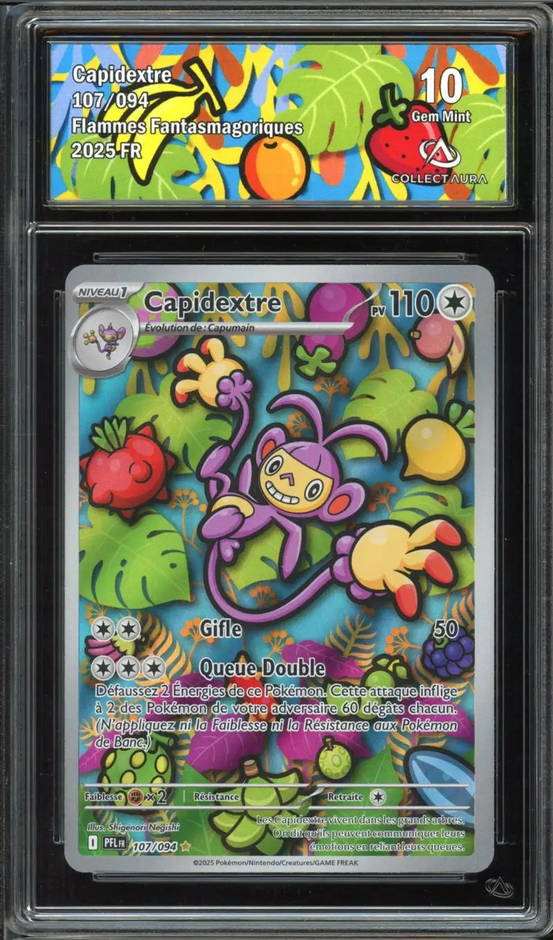 CA 10 Capidextre