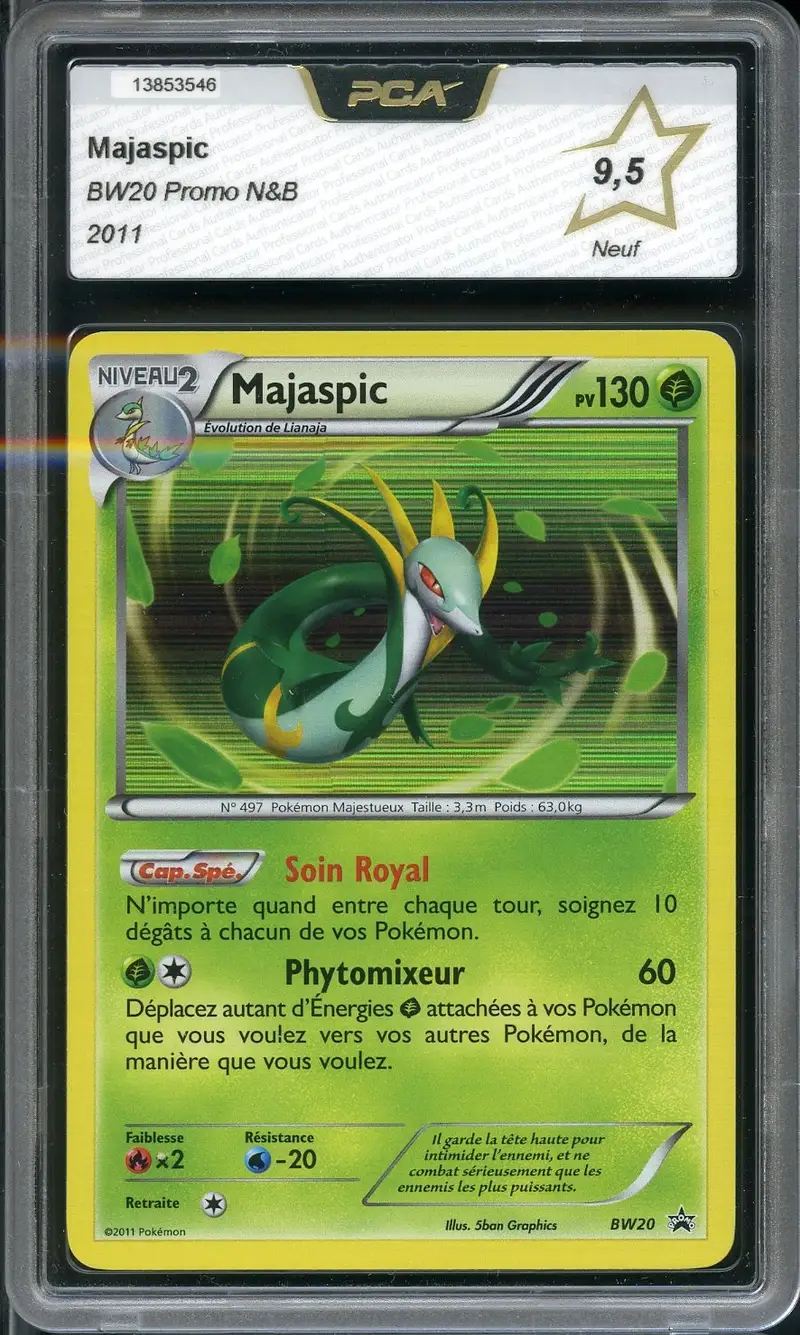 PCA 9.5 Majaspic Holo