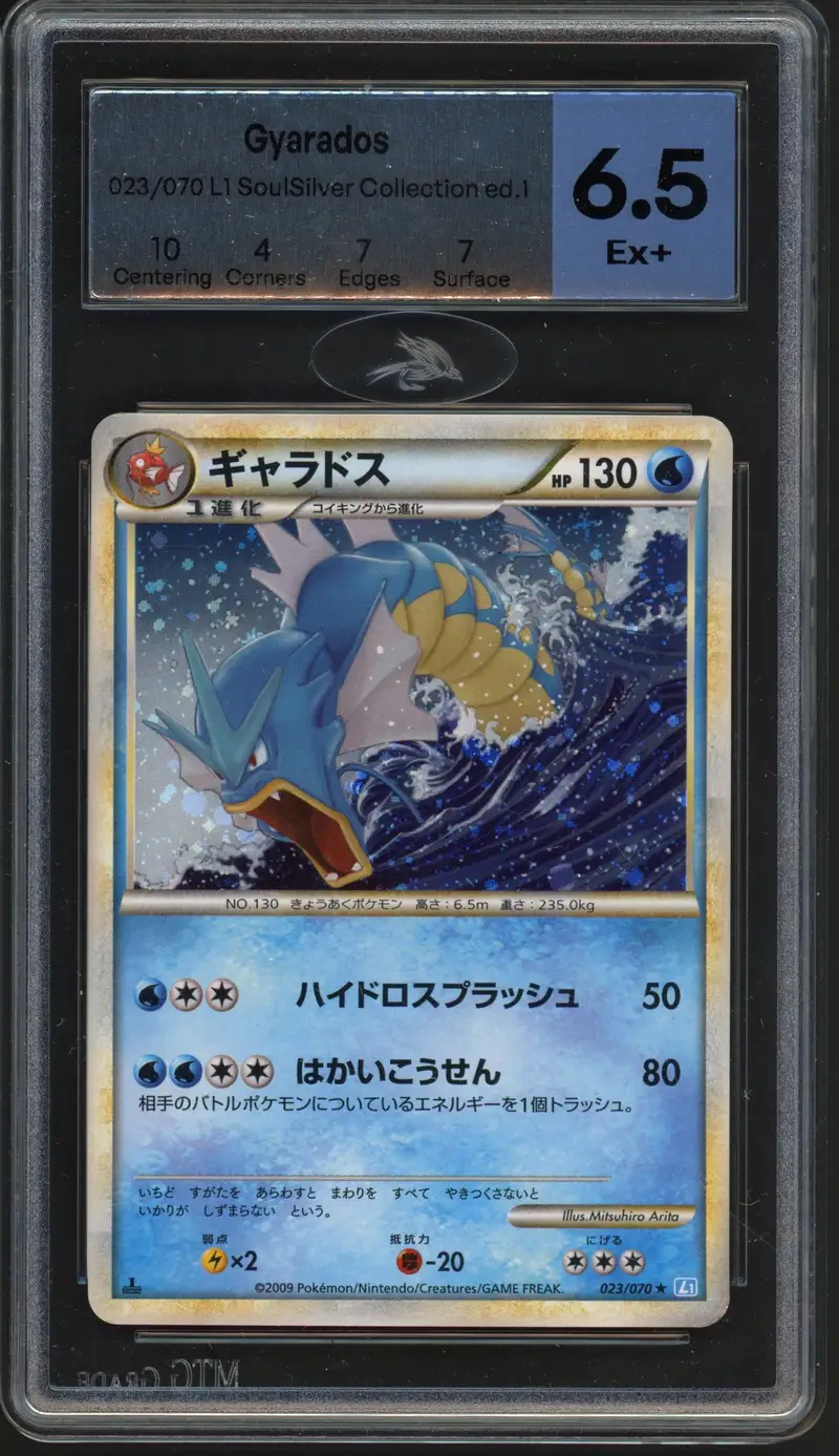 MTG 6.5 Gyarados Holo