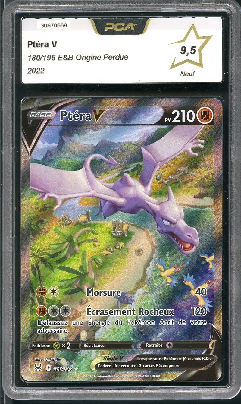 PCA 9.5 Ptéra V