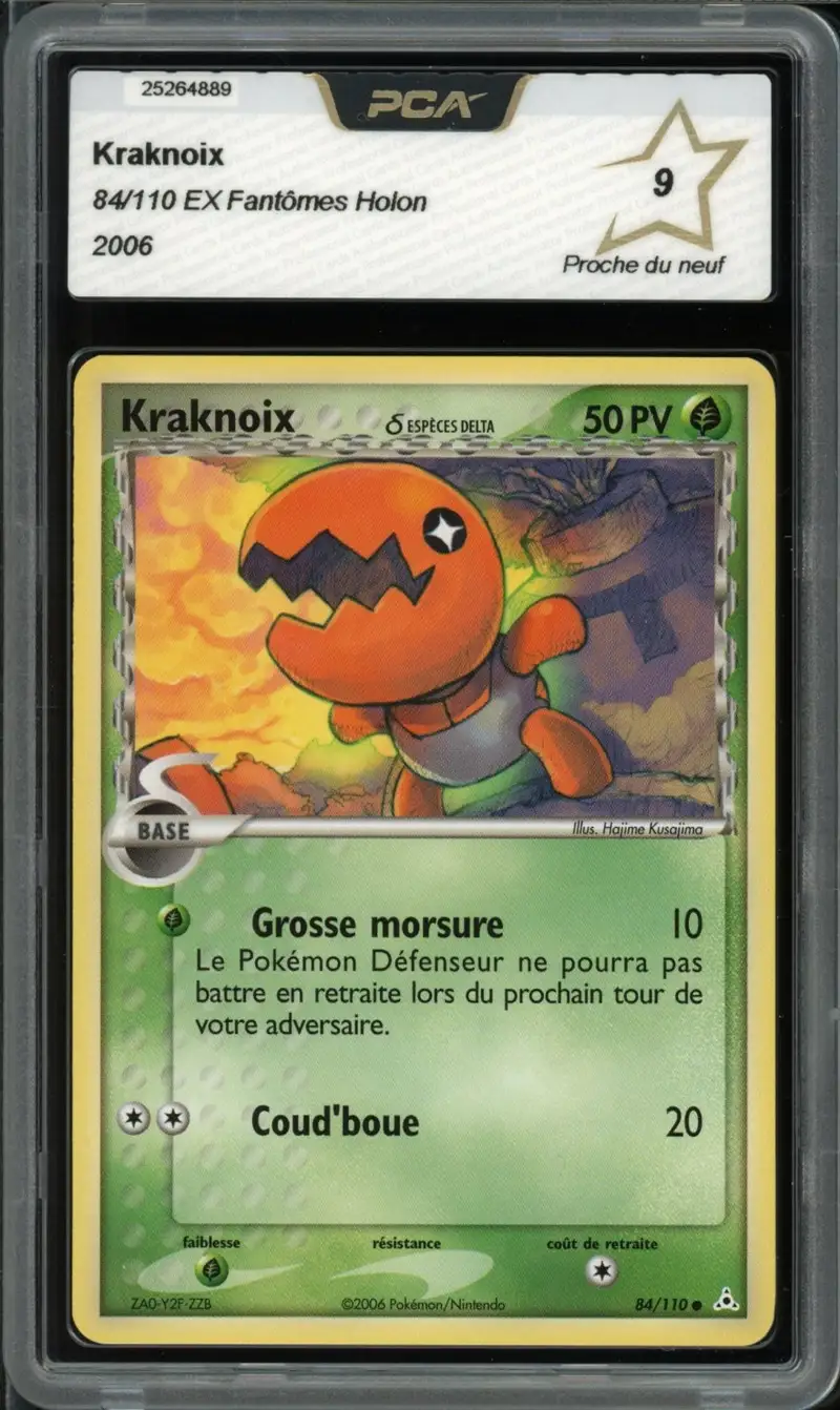 PCA 9 Kraknoix