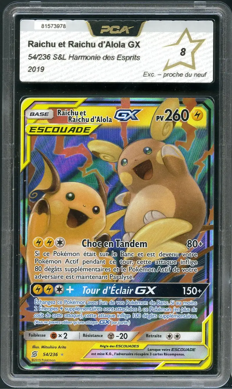 PCA 8 Raichu et Raichu d'Alola Gx