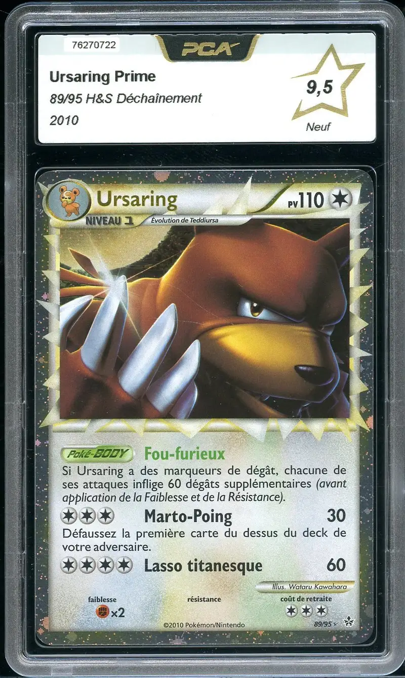 PCA 9.5 Ursaring Prime