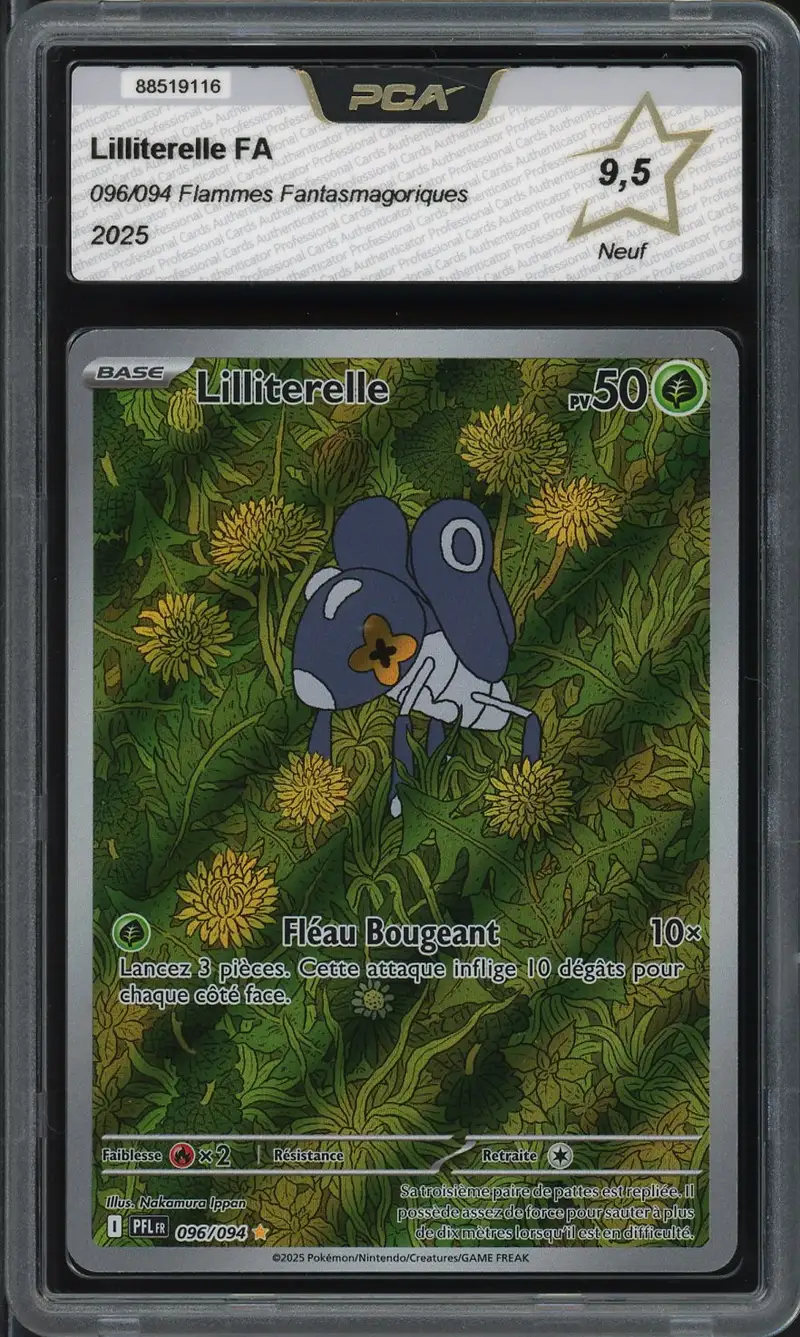 PCA 9.5 Lilliterelle