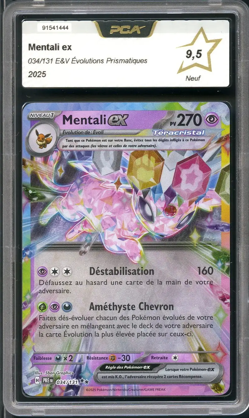 PCA 9.5 Mentali Ex