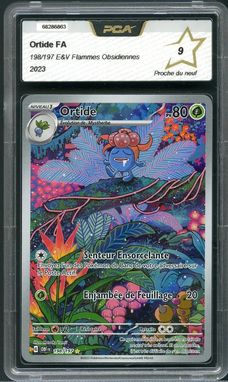 PCA 9 Ortide