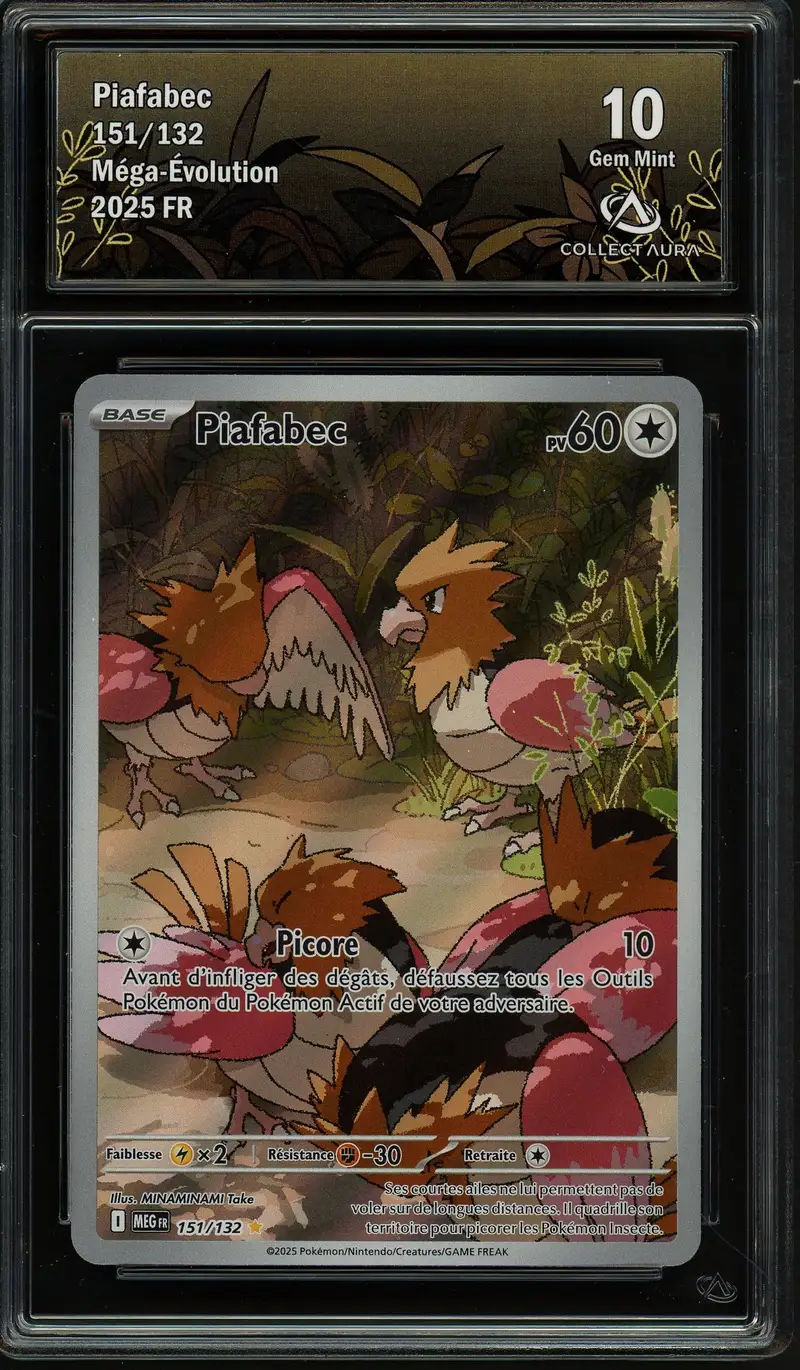 CA 10 Piafabec