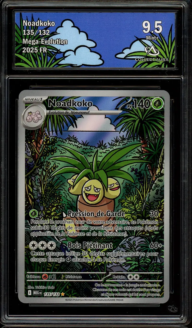 CA 9.5 Noadkoko