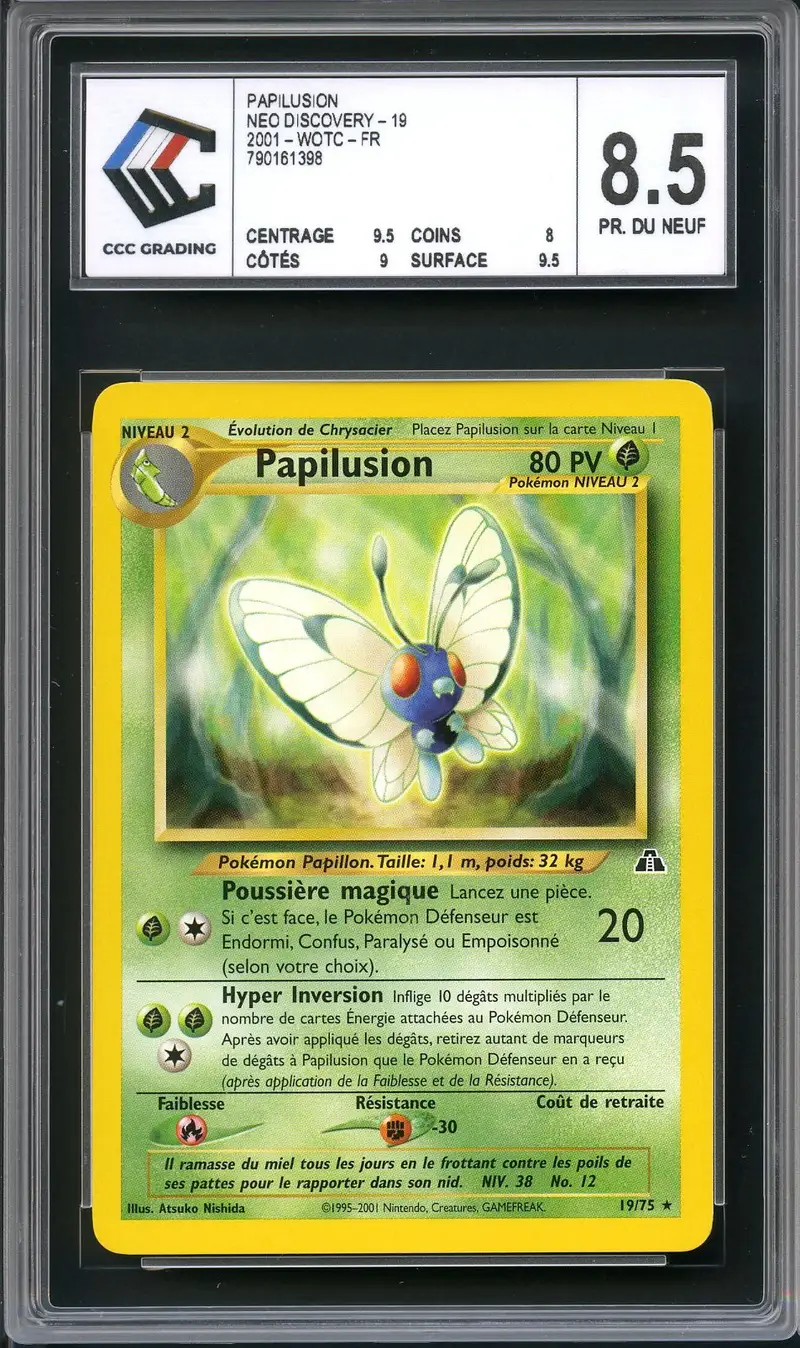 CCC 8.5 Papilusion