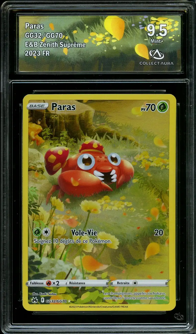 CA 9.5 Paras
