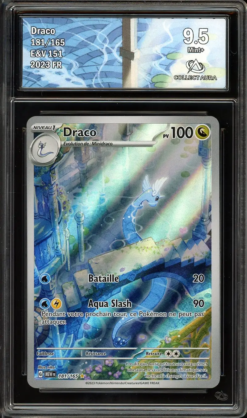 CA 9.5 Draco