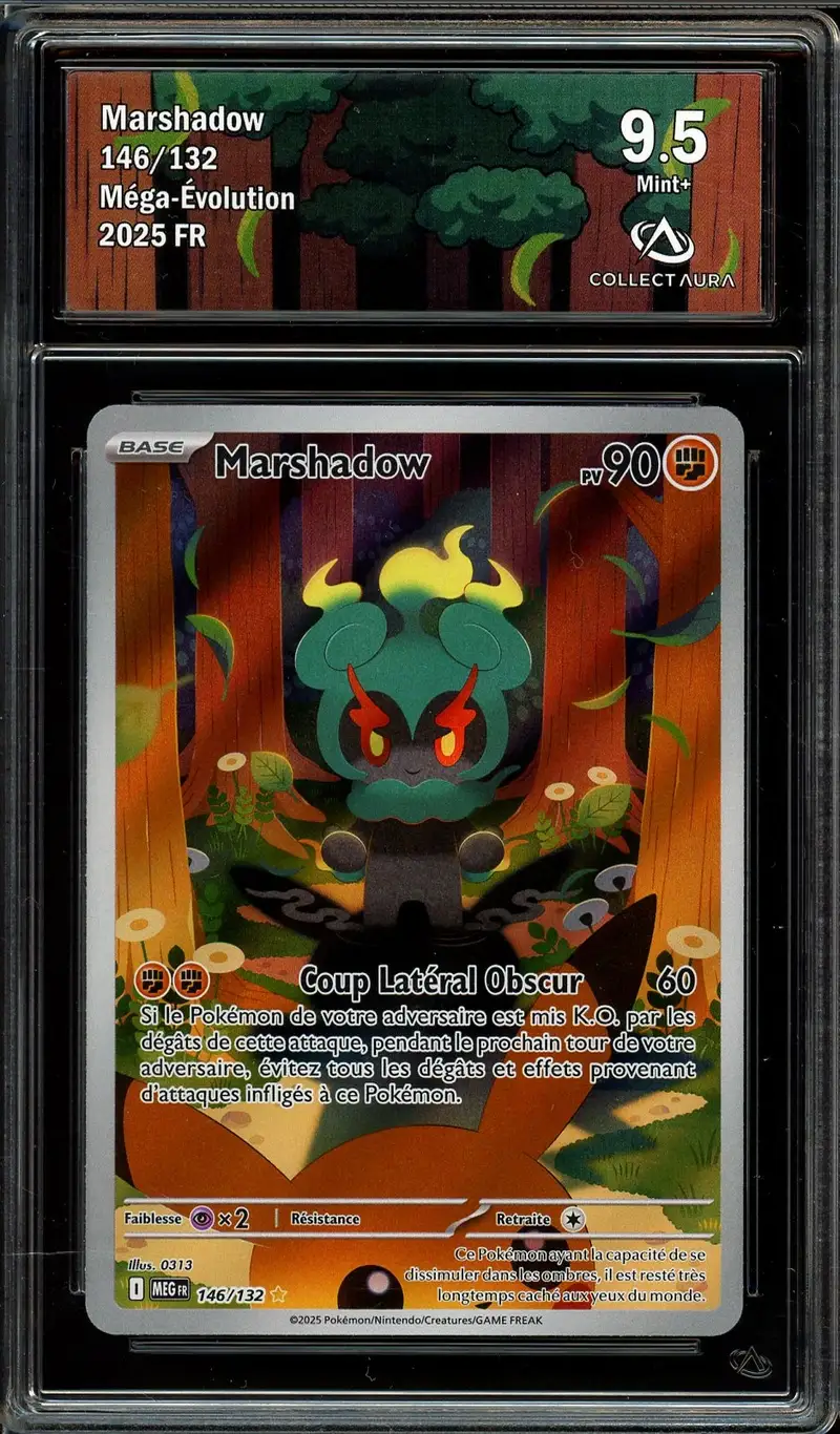 CA 9.5 Marshadow