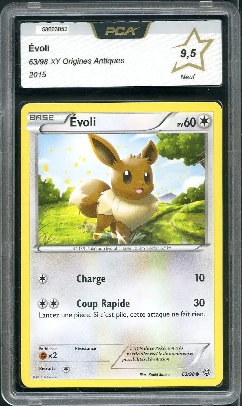 PCA 9.5 Evoli