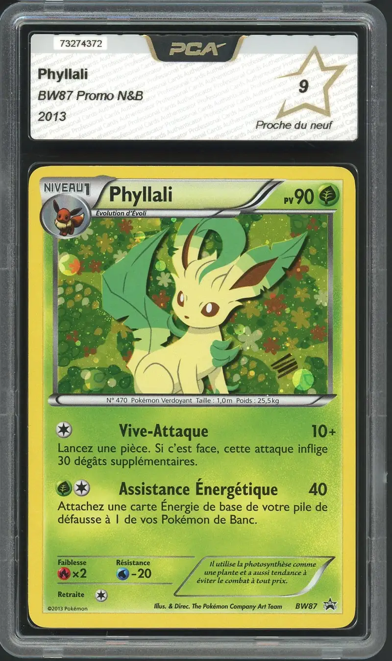 PCA 9 Phyllali Holo