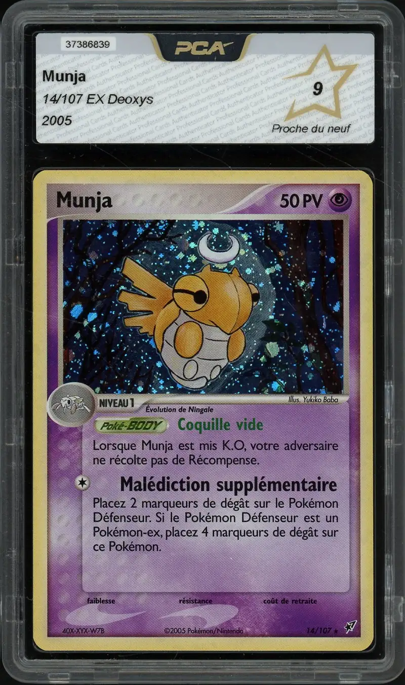 PCA 9 Munja Holo